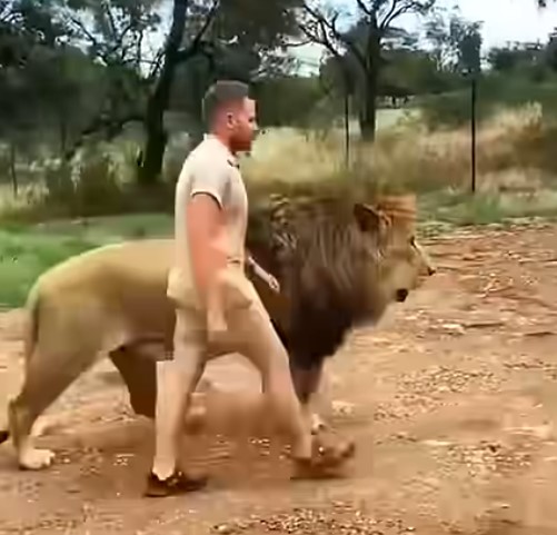 אימץ גור אריות נטוש והסוף מרגש